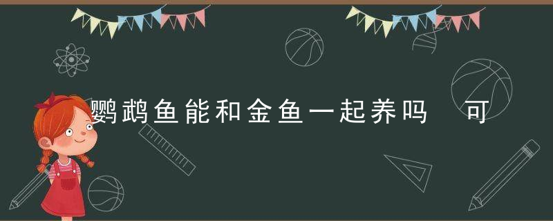 鹦鹉鱼能和金鱼一起养吗 可以一起养鹦鹉鱼和金鱼吗